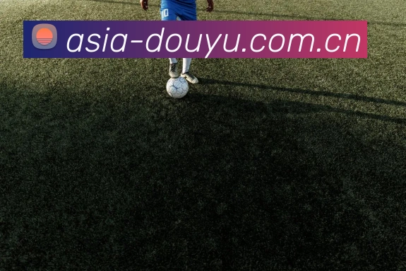 战术视频